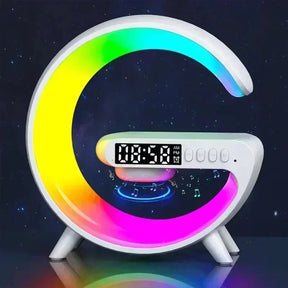 49382820086046